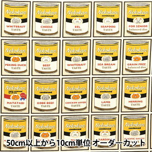 y5z n w10ԃLoX lRʕ CG[ KTS7085-Cx COTTON KOBAYASHI Rbg΂₵ ё@