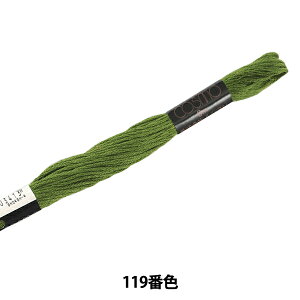 hイ wCOSMO 25ԎhJ 119ԐFx LECIEN VA cosmo RX