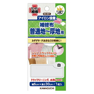 Cz wACڒ Cz ʒn`np  93-001x KAWAGUCHI JO` ͌