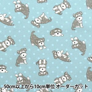 y5z n wIbNX ʃViEU[ TbNX AP52903-1Cx