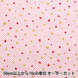 y5z n wV[`O JtLoX Xp[NOn[c sN COCAN-HT-PIx KOKKA RbJ