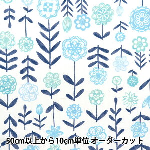 y5z n wNOVA IbNX XgCvt[ ANAu[ NOX-NOFL2-BLx KOKKA RbJ