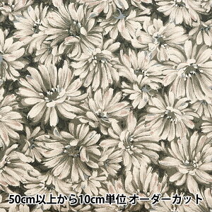 y5z n wȖLoX NOVAG^b`t[ `R[ NCLC-NCHx KOKKA RbJ