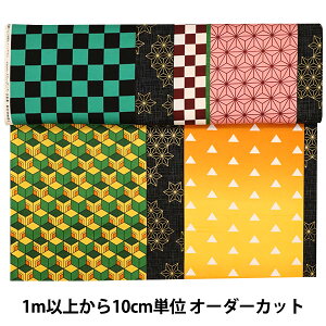 y10z n wV[`O Sł̐n XgCv A G-5087-1Ax KOKKA RbJ