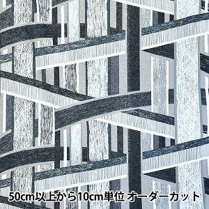 y5z n wKESHIKI ȖV[`O Highway EKX-4600-1Dx KOKKA RbJ