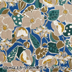 y5z n wȖV[`O AtJt@ubNX^C u[ YKA-21000-1Bx KOKKA RbJ