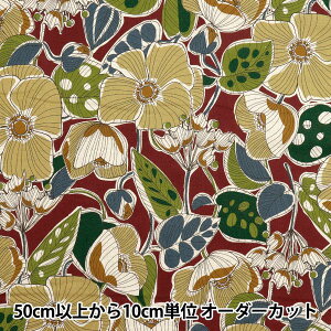 y5z n wȖV[`O AtJt@ubNX^C bh YKA-21000-1Ax KOKKA RbJ