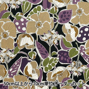 y5z n wȖV[`O AtJt@ubNX^C ubN YKA-21000-1Cx KOKKA RbJ