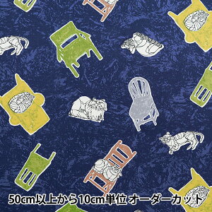 �y����5����z ���n �wHAyU �Ȗ��L�����o�X CATLOAF �l�C�r�[ EGX7713-1D�x KOKKA �R�b�J