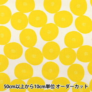 y5z n wMUDDY WORKS(}fB[NX) I[KjbNIbNX ς CG[ EKX-1160-Ax KOKKA RbJ