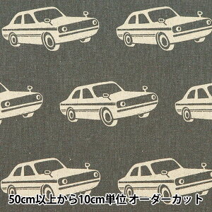 y5z n wni-co echino(jRG`m) ȖLoX car EKX-98060-60Dx KOKKA RbJ