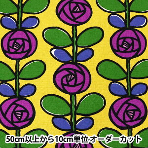 y5zn w10ԃLoX o UP5693-B ̕zx COTTON KOBAYASHI Rbg΂₵ ё@