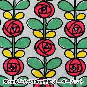 y5z n w10ԃLoX o UP5693-C ̕zx COTTON KOBAYASHI Rbg΂₵ ё@