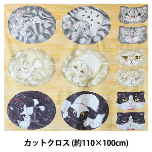 n wz[fR Aj}pl JbgNX ۂ܂L 110cm×100cm YGA-76050-1Ax KOKKA RbJ