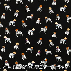 �y����5����z ���n �w�u���[�h �����s������F��! �X�y�[�X&�h�b�N �u���b�N B850605Z-1-4�x