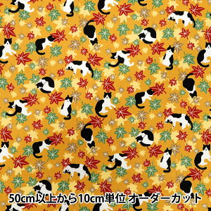 y5z n wV[`O n`Lgt }X^[h YZ55902-1Cx