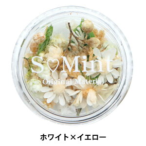 Wޗ whCt[ tbg V[Y2 zCg×CG[x SMint GX~g