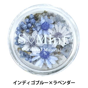 Wޗ whCt[ tbg V[Y2 CfBSu[×x_[x SMint GX~g