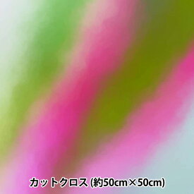 生地 『RIEKA グラデーションパレット 約50×50cm 1124-003』