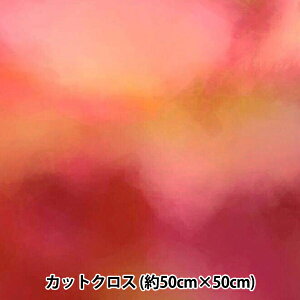 ���n �wRIEKA �O���f�[�V�����p���b�g ��50×50cm 1132-007�x