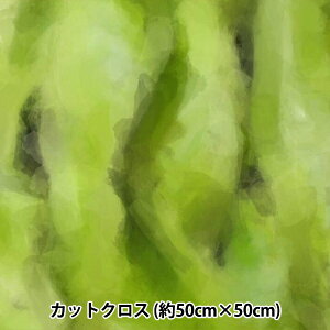 n wRIEKA Of[Vpbg 50×50cm 1160-021x