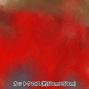 n wRIEKA Of[Vpbg 50×50cm 1174-028x