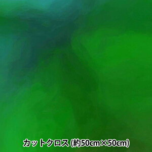 n wRIEKA Of[Vpbg 50×50cm 1186-034x