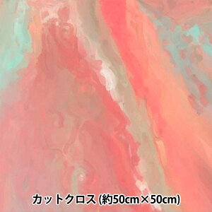 n wRIEKA Of[Vpbg 50×50cm 1198-040x