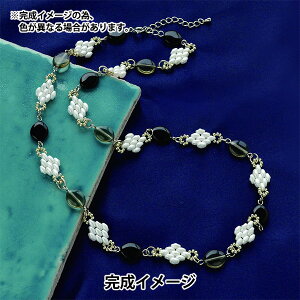 r[YLbg wX[p[fIr[Y ANZT[Lbg l[WElbNX BFK-459x MIYUKI ~L