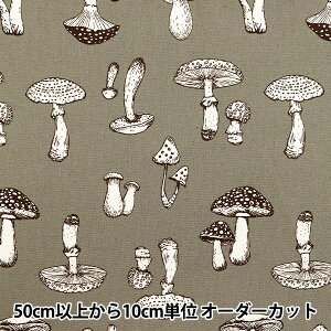 y5z n wIbNXvg ̂ O[ 38135-1Dx