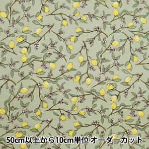 y5z n wV[`O }t CgO[ KTS6951SE-LGNx COTTON KOBAYASHI Rbg΂₵ ё@ yUIWiz