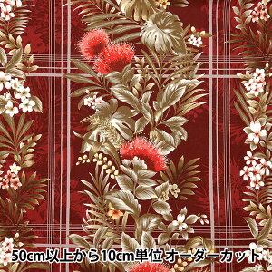 y5z nwV[eBO AChX^C LV[} ||G bh 02541-1PIx