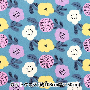 n wkippis (LbsX) IbNX JbgNX 110×50cm Ԋ u[ KPOK-79Bx