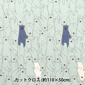 n wV[`O N}炯 JbgNX 110×50cm u[ C-ACS1112-Ax