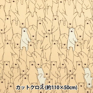 n wV[`O N}炯 JbgNX 110×50cm N[ C-ACS1112-Bx