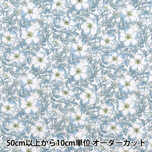 y5z n woeBEt@ubNX ^i[ CEX 1229214-UEx Liberty Japan oeBWp