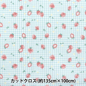 y1000~|bLz n w͂RۖhL|GXe JbgNX 135cm×100cm Xgx[`FbN u[ C-HP-SC-ST-BLx y}\z