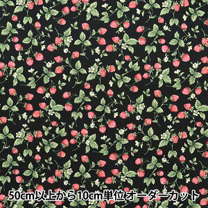 y5z n wu[h  ubN KTS7090-Fx COTTON KOBAYASHI Rbg΂₵ ё@