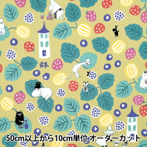 y5z n wV[`O [~ x[ }X^[h G-1249-1Bx KOKKA RbJ