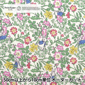 y5z n woeBEt@ubNX ^i[ EH[J[Erbc DC30741J20Ax Liberty Japan oeBWp