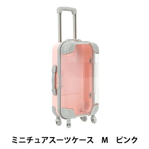 ߋ w~j`AX[cP[X MTCY sN MSC-M-PKx