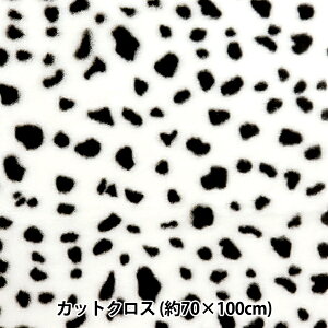 n wAj}rbgt@[ JbgNX _VA 70cm×100cm C-SW-2-1DAx