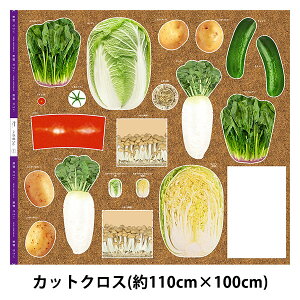 n wS  plvg JbgNX 110cm×100cm C-HAKUSAIx