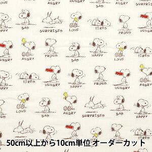 y5z n wV[`O Xk[s[ G[V ItzCg G-9916-1Ax KOKKA RbJ