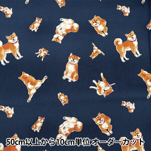 y5z n wIbNX Č lCr[ AP42109-2Dx