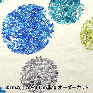 y5z n wyui ȖRpX CNWFbg ʕ EGXA-6411-1Ax KOKKA RbJ