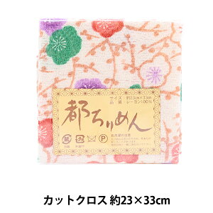 n ws߂ FT JbgNX 23cm×33cm 274ԐFx X