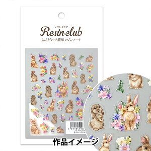 Wޗ wWV[   RC-RAB-103x WNu