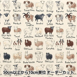 y5z n wNOVA V[`O r} i` NSE-SHE-NAx KOKKA RbJ yUIWiz