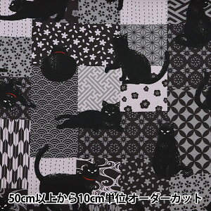 y5z n whr[ NlR ubN AP51103-1Ex